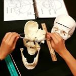 5 I-Drive Attractions to visit for a new learning experience!